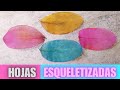 🍁 Cómo Esquelétizar hojas naturales | Cómo secar y conservar hojas naturales 🍃