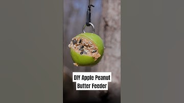 DIY Apple Peanut Butter Bird Feeder #diy
