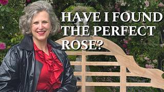 Inside Peter Beales Roses — the most beautiful rose garden in Norfolk | garden vlog