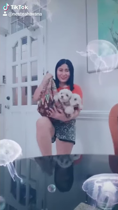Miss tata
