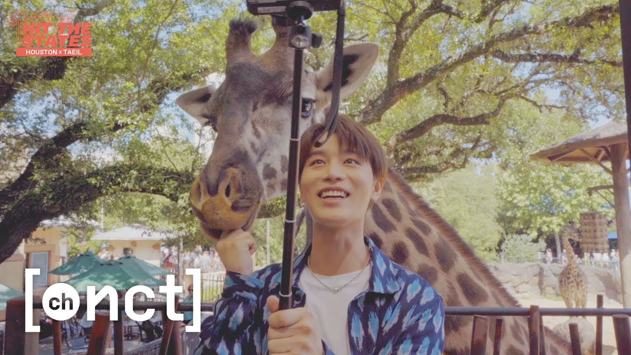 ⁣TAEIL X HOUSTON : MOON🌕 Meets Giraffe (Feat. 텐데즈) | NCT 127 HIT THE STATES