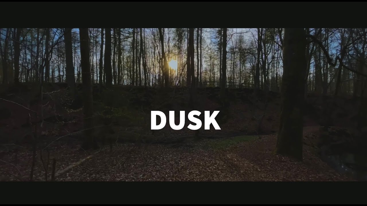 Dusk - April 8, 2021 — Bonn, Germany, Venusberg, Kottenforst, Marienforster Steinweg