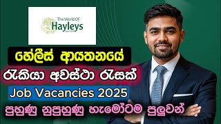 Haleys Job Vacancies in Sri Lanka 2025 I Best New Job Vacancies Sinhala