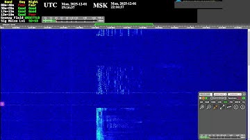 The Buzzer (4625khz) - Live