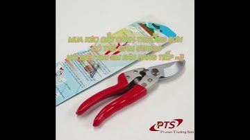 MUA KÉO CẮT CÀNH Ở ĐÂU ???