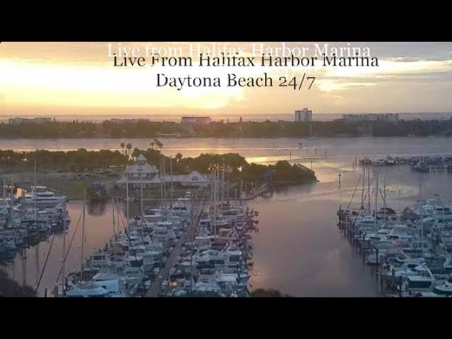 🌊 Live Cam: Halifax Harbor Marina - Daytona Beach FL   River & Dock Views - Boats, River, Ocean! 🌊