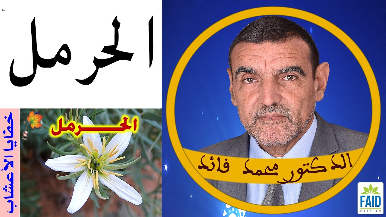 تعرفون حبوب الحرمل لكن ماذا عن عشبة الحرمل؟ | الدكتور الفايد