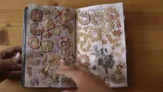 Keri Smith Mess Finished