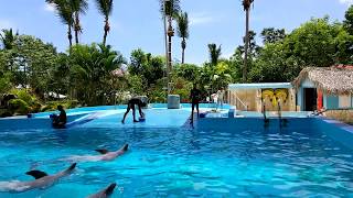 Manati Park Punta Cana - Dolphins show, swimming / Шоу дельфинов в Манати парк Баваро Manati Park Punta Cana - Dolphins show, swimming / Шоу дельфинов в Манати парк Баваро