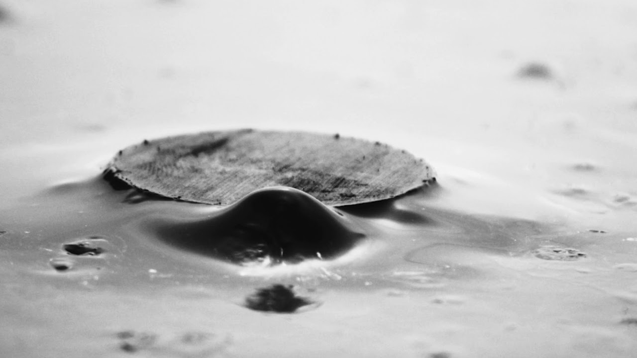 WELLS VALLEY - Pleroma (Official Video) black metal caterpillar