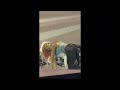 에스파 지젤 250206 AESPA Giselle