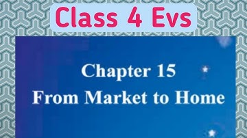 From Market To Home II Class 4 EVS Chapter 15