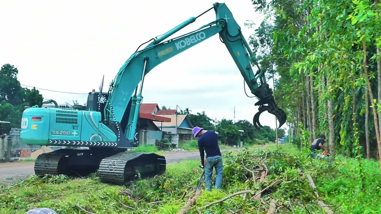 Expert Excavator Kobelco SK200 working fast, Skilled tree cutting assistant