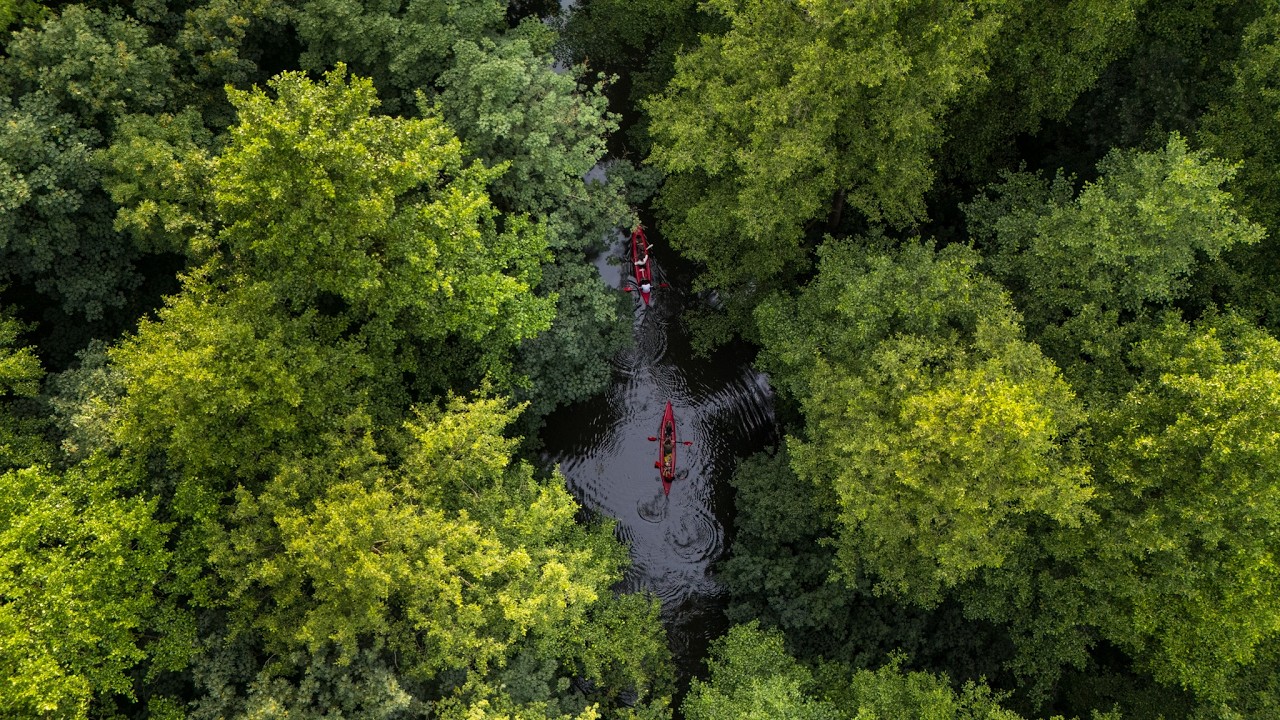 50km mit PADDELBOOT auf der SPREE UNTERWEGS | 3 TAGE BIWAK