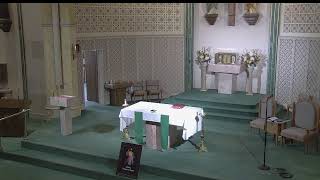 SFB Mass - 06-26-2026