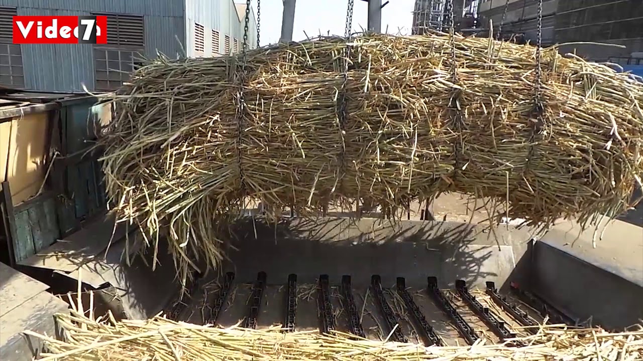 كوم أمبو أرض الحلو