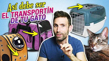 ¿Los gatos prefieren los transportines duros o blandos?