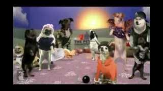 Harlem Sexy Endang Raes