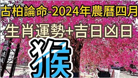 【古柏論命每月運勢+吉日凶日】2024年農曆四月(陽曆2024年5/8 ~ 6/5)生肖運勢分享 -  猴 - 天天要聞