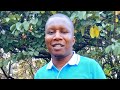 MIMI NIKO AMBAYE NIKO I AM WHO I AM KambiYaWateule Trending Motivation Inspiration 