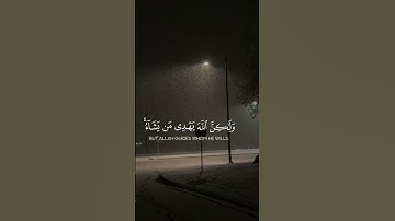 القارئ ماهر المعيقلي | سورة القصص