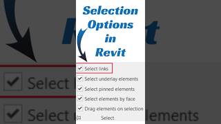 Celebrity Selection options in Revit #shorts#revit #architecture #tutorial Wealth