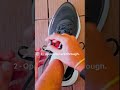 How to Tie a Runner&rsquo;s Knot |  Decathlon India  #runninggear  #shoes #runningshoes