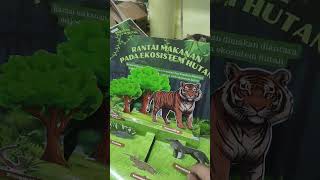 ini dia guys tutorial membuat pop up book ekosistem hutan
