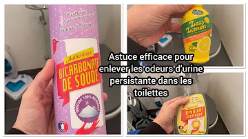 Quel produit pour enlever odeur urine