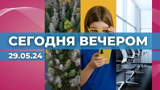 Госконтроль о вырубках | Дети и интернет | На краю роспуска