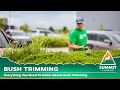 Bush Trimming | Summit Lawns Service Description
