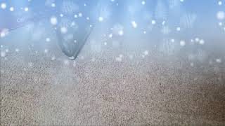 10 11 2019 Bobs Carpet Cleaning Winter 15