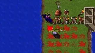 Tibia ●OnlyOwned● | Marcox Duels |