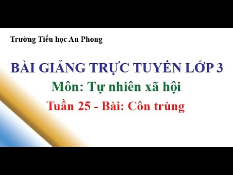 Lớp 3 - Tuần 25 - Môn: Tự nhiên xã hội - Bài: Côn trùng