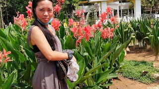 Astaka Morocco L Taman Botani