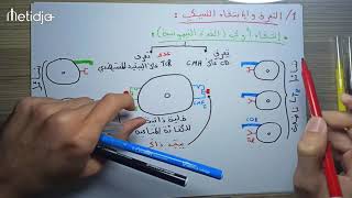 المناعة : الجزء 10 ( المناعة الخلوية : التعرف والانتقاء النسيلي )