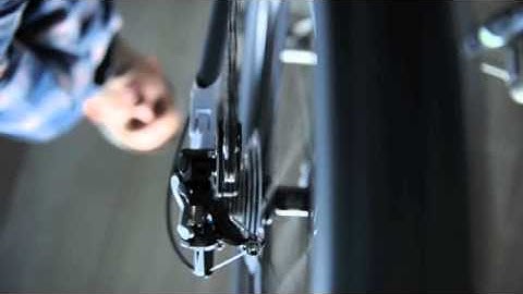 The Barracuda Company