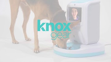 Knox Smart Wireless Wi-Fi Automatic Pet Feeder with Two Way Video & Audio