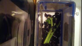 IMG 7476 349