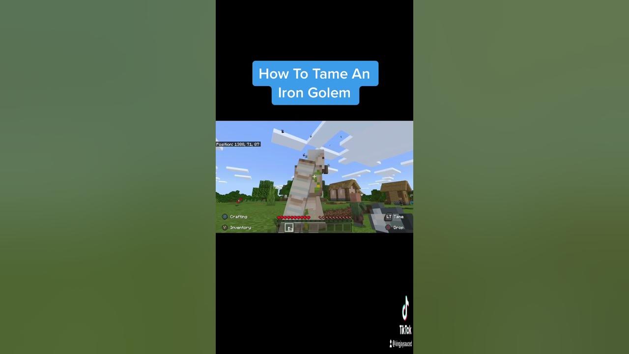 Minecraft how to tame an iron golem shorts minecraft youtube