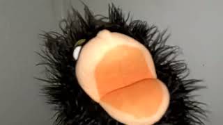 Muppets Arches Test 2 Kasey The Crow
