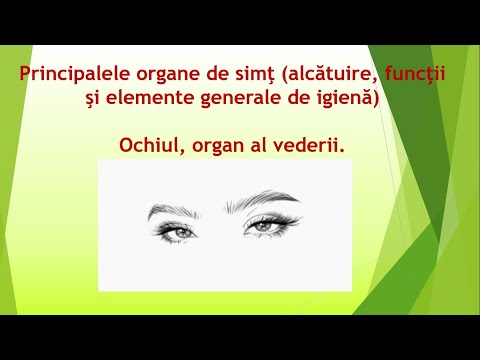 Ochiul organ al vederii,