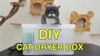 I Made a Cheap DIY Cat Dryer Box for My Cats | SIXCAT