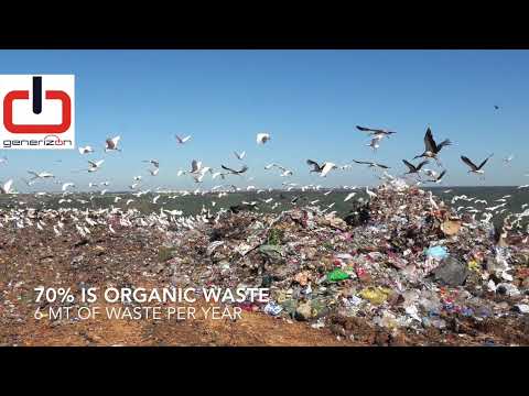Video: Waste To Bioenergy: Una Rassegna Delle Recenti Tecnologie Di Conversione