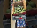 Subscribe and Come Shop at Aldi with me!