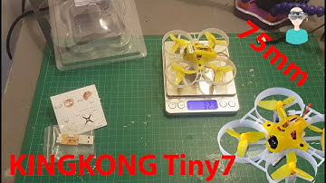 KINGKONG TINY7 75mm Micro FPV Quadcopter - Unboxing, Review & Test Flight