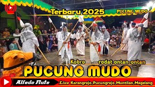 Kobro Pucung mudo terbaru 2025 Ontan-ontan lanjut rodat setrat live Karangrejo,Pucungrejo,Muntilan