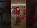 birthday decor WhatsApp. 03214777687