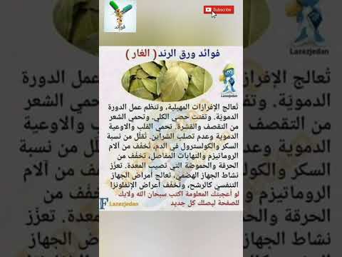 فوائد ورق الغار الرائعة معلومات صحة فوائد أطعمة