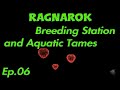 Breeding Station and Aquatic Tames ...Ragnarok rebuild 2025_10_13
